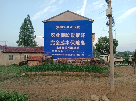 常德墙体广告的优劣势你知道吗?